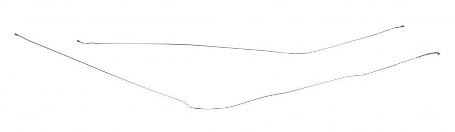 tin7101-1.jpg